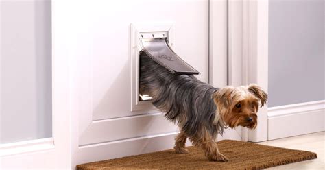 Pet Doors, Flaps, & Accessories